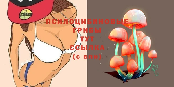 скорость mdpv Белокуриха